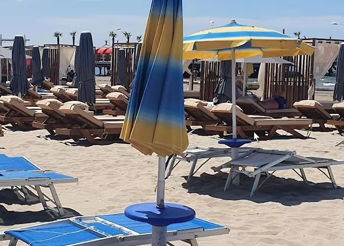 Dona Elegant Daire Dıraç